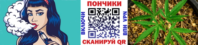 Канабис OG Kush  что такое   Заозёрный 